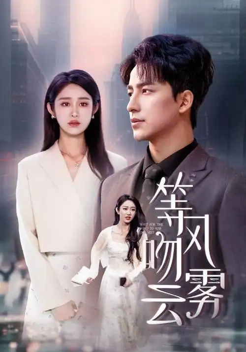 山海情特刊卡片配图